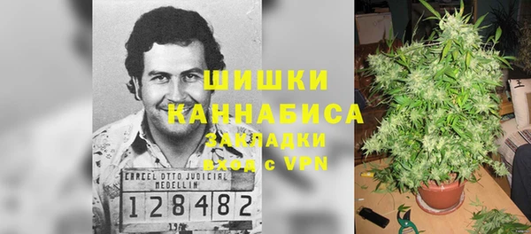 винт Арсеньев