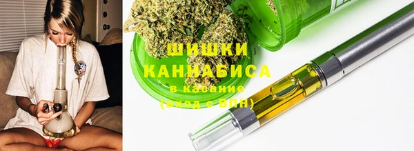 индика Аркадак