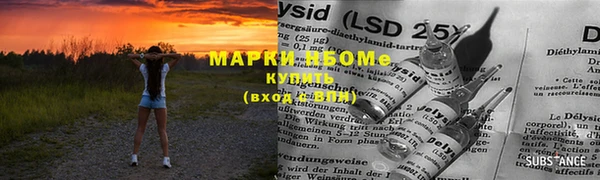 индика Аркадак