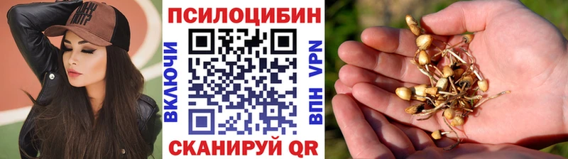 цены наркотик Макушино Галлюциногенные грибы MAGIC MUSHROOMS